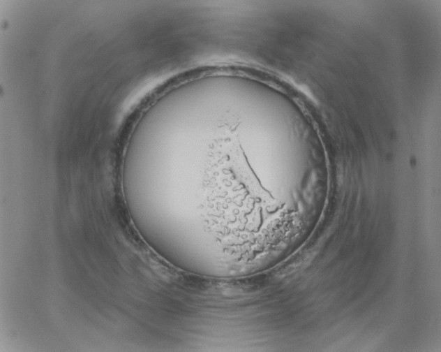 X0000062911311200602031847