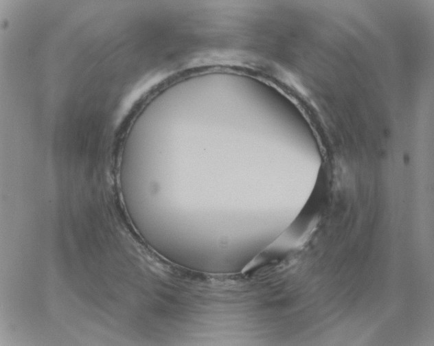 X0000062911312200602031847