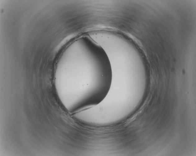 X0000062911314200602031847