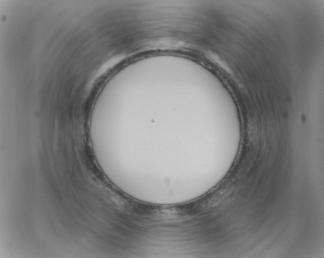 X0000062911315200602031847