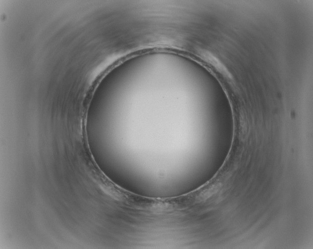 X0000062911316200602031847