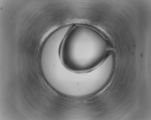 X0000062911317200602031847