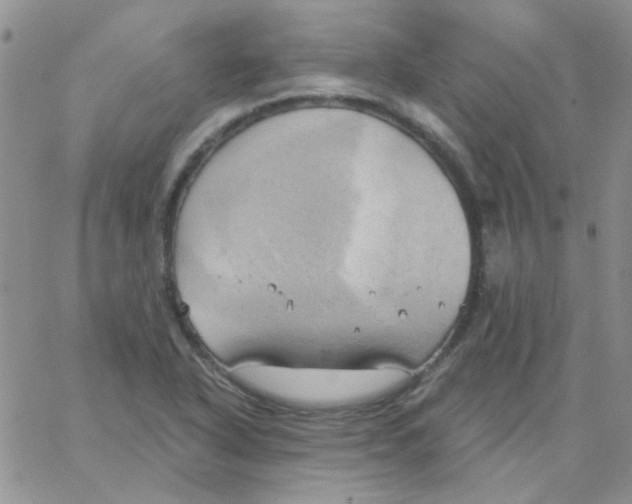 X0000062911318200602031847