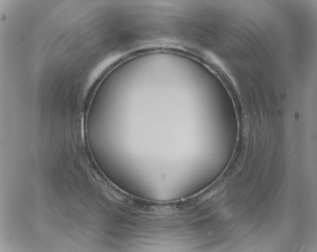 X0000062911320200602031847