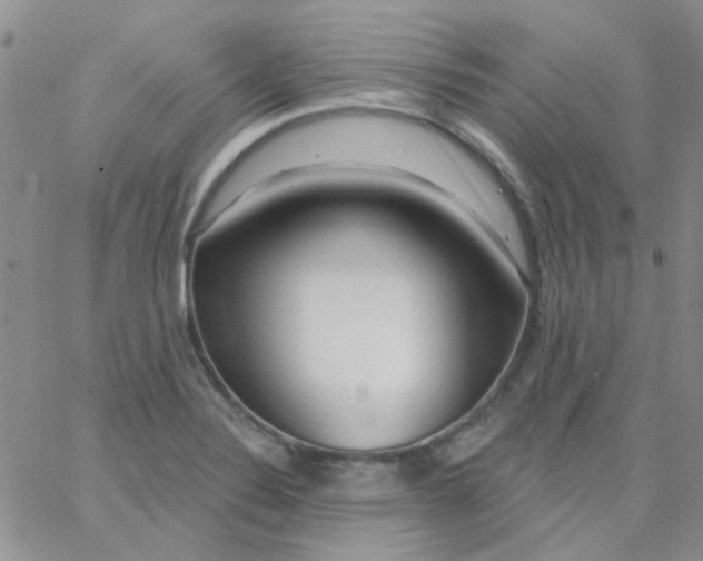 X0000062911324200602031847