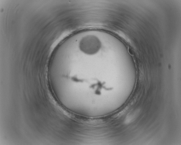 X0000062911325200602031847