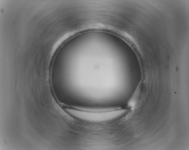 X0000062911326200602031847