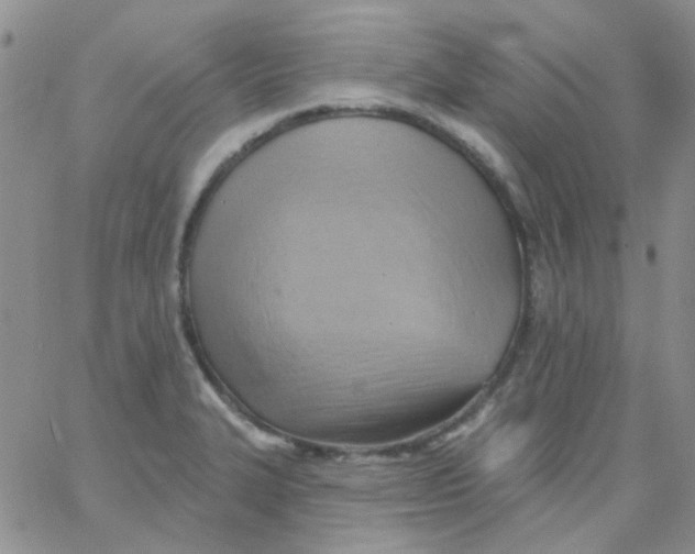 X0000062911327200602031847