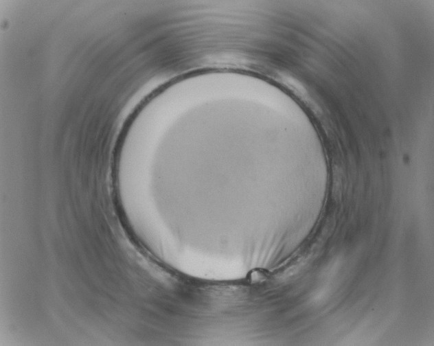 X0000062911331200602031847