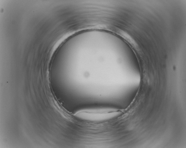 X0000062911332200602031847