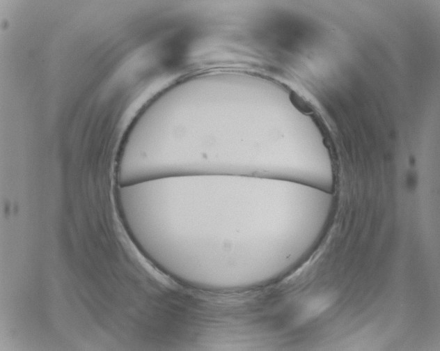 X0000062911333200602031847