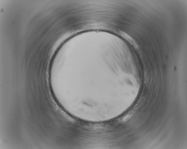 X0000062911334200602031847