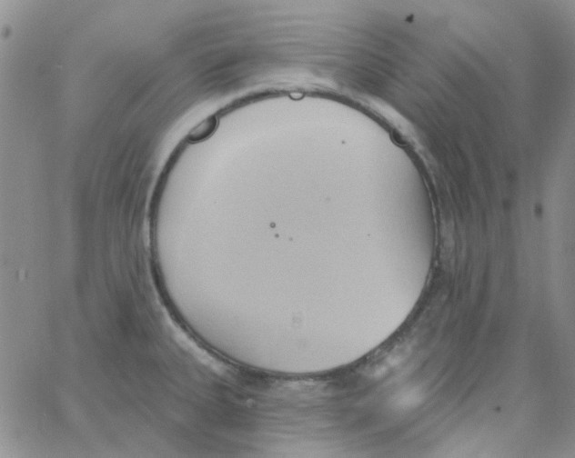 X0000062911335200602031847