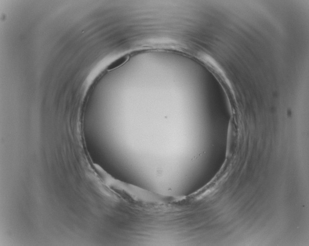 X0000062911336200602031847