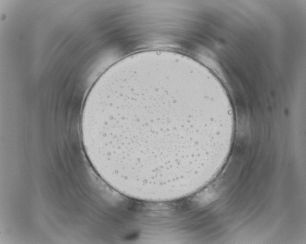 X0000062911338200602031847