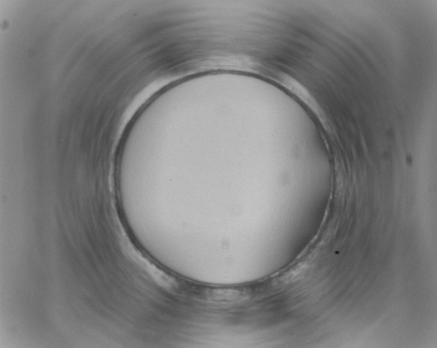 X0000062911339200602031847