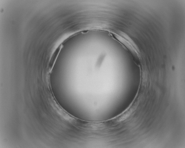 X0000062911340200602031847