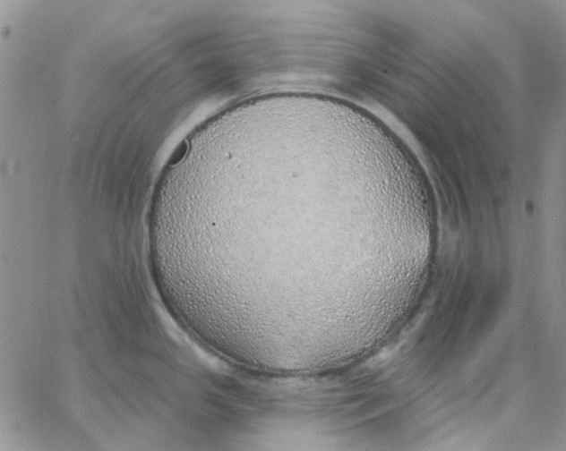 X0000062911341200602031847