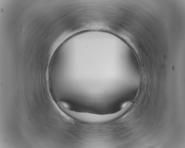 X0000062911343200602031847