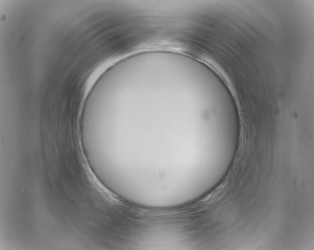 X0000062911344200602031847