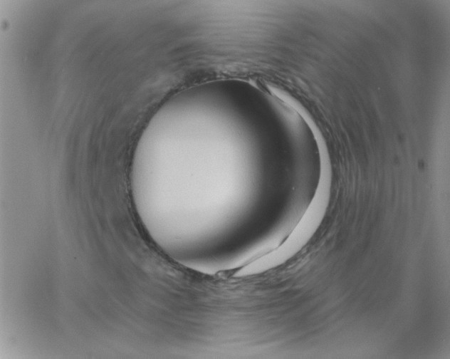 X0000062911345200602031847