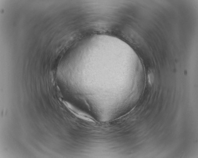 X0000062911347200602031847