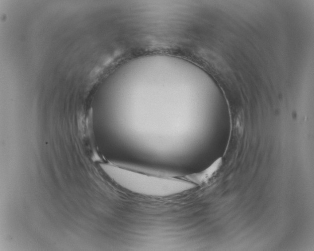 X0000062911348200602031847