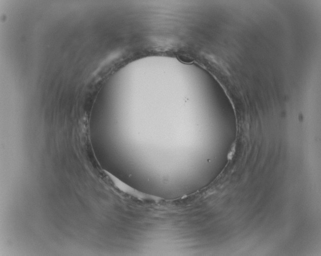 X0000062911349200602031847