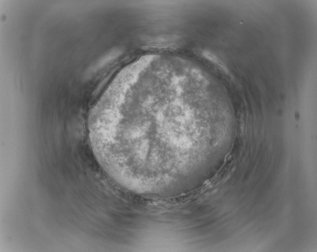 X0000062911350200602031847