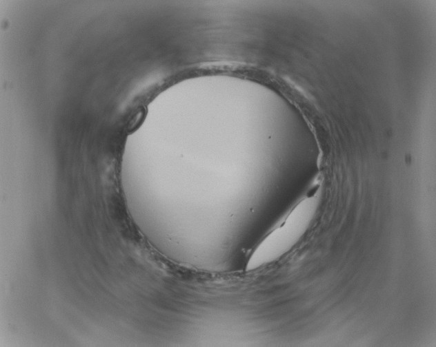 X0000062911351200602031847