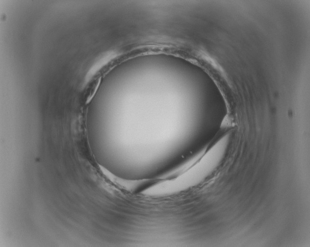 X0000062911352200602031847