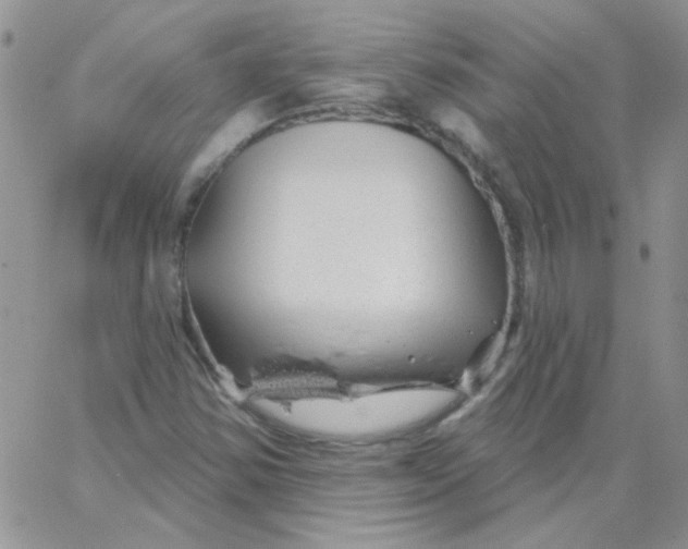 X0000062911354200602031847