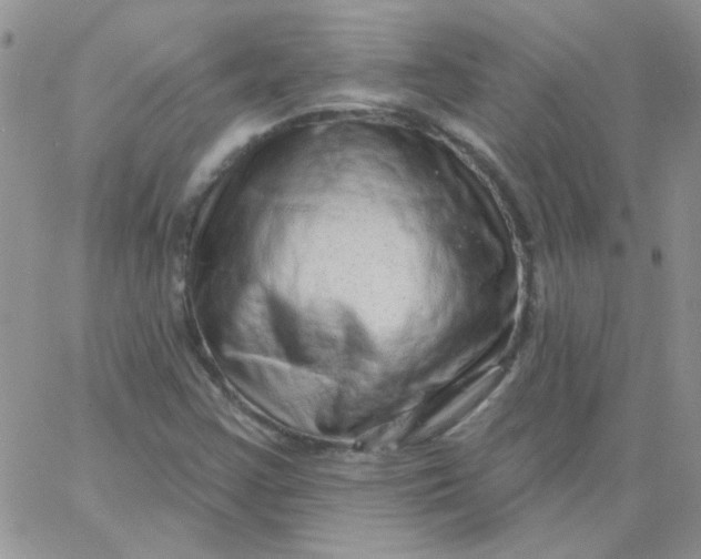 X0000062911355200602031847