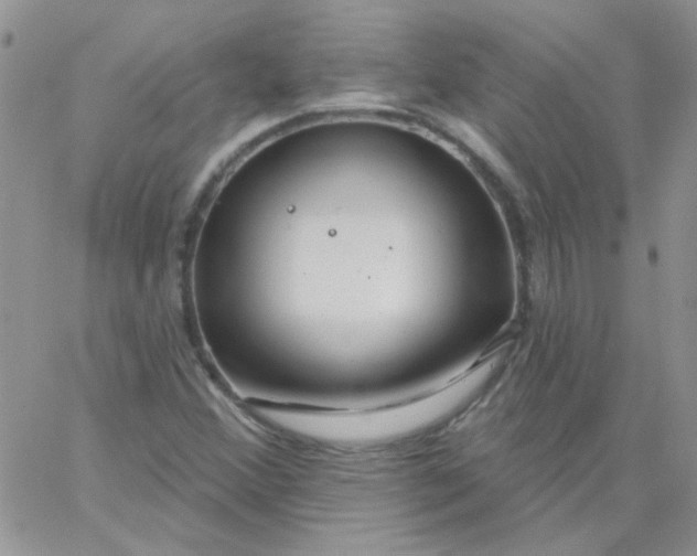 X0000062911356200602031847