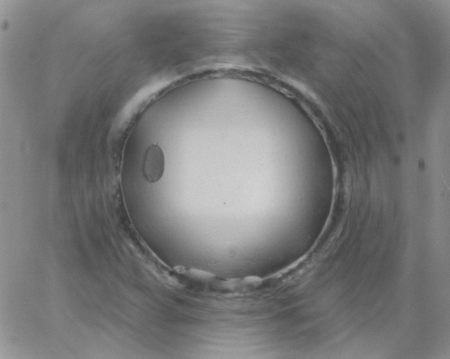 X0000062911359200602031846