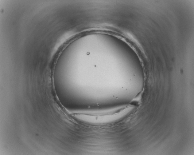 X0000062911360200602031846