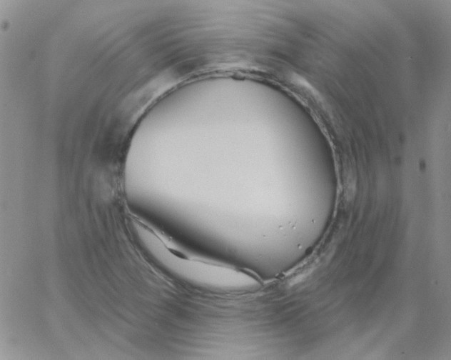 X0000062911361200602031846