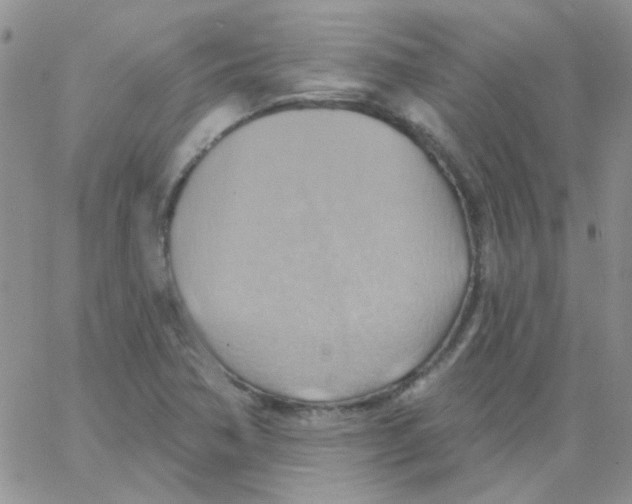 X0000062911362200602031846