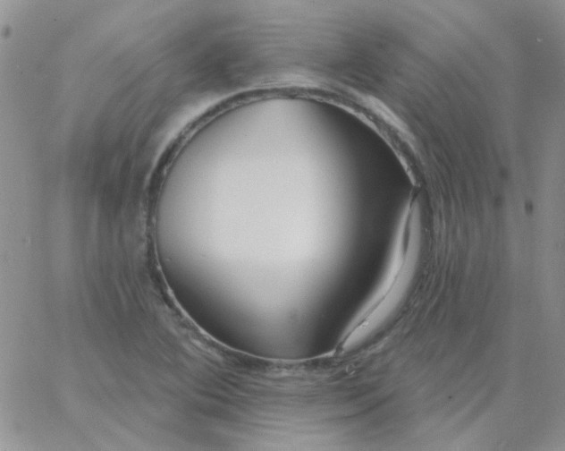 X0000062911364200602031846