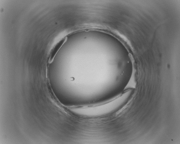 X0000062911365200602031846