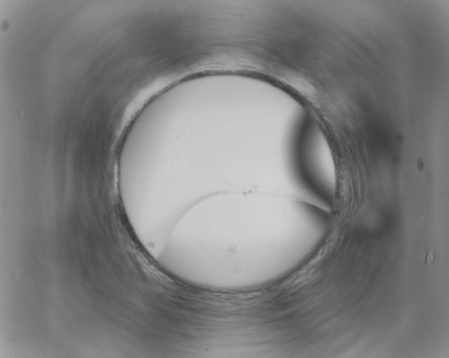 X0000062911366200602031846