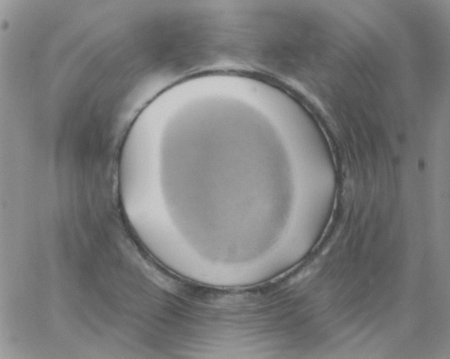 X0000062911367200602031846