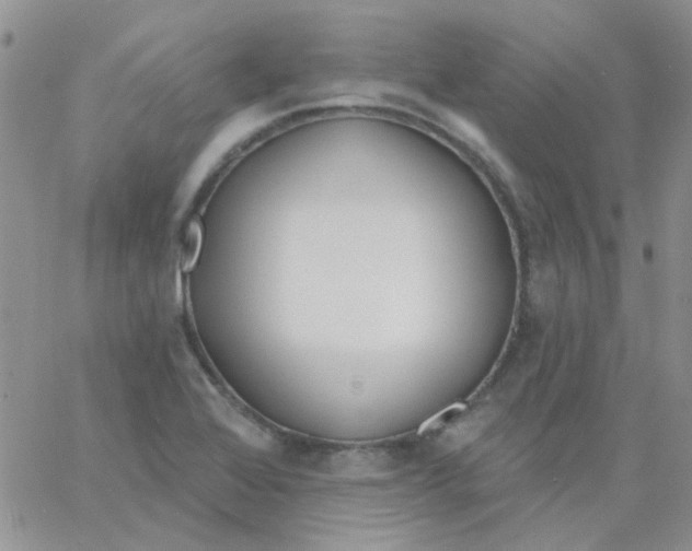 X0000062911368200602031846