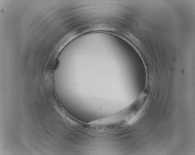 X0000062911369200602031846