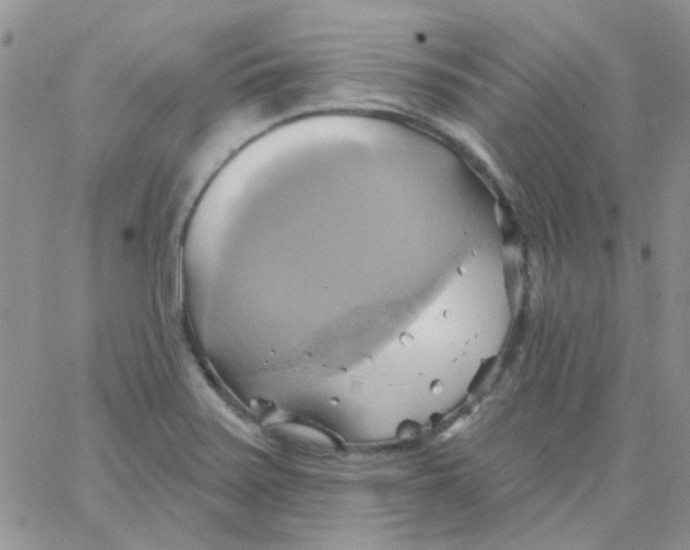 X0000062911371200602031846