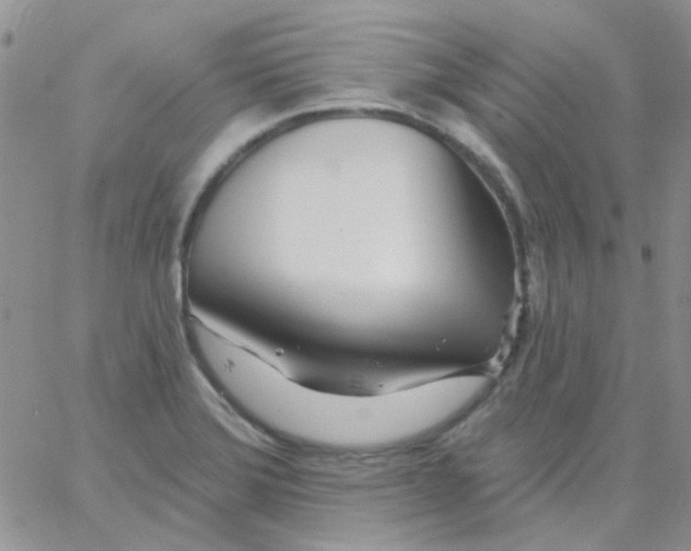 X0000062911372200602031846