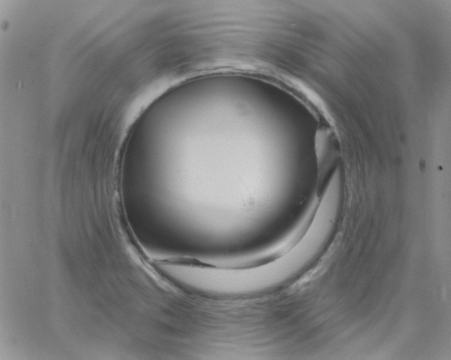 X0000062911373200602031846