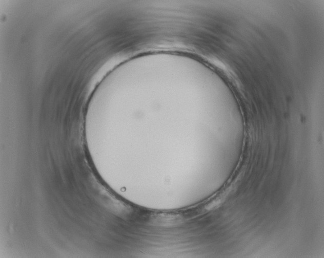 X0000062911374200602031846