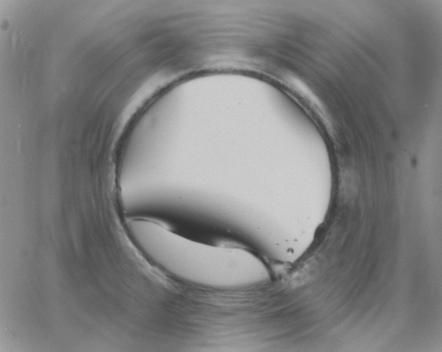 X0000062911376200602031846