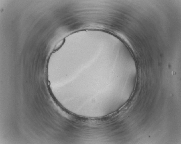 X0000062911379200602031846